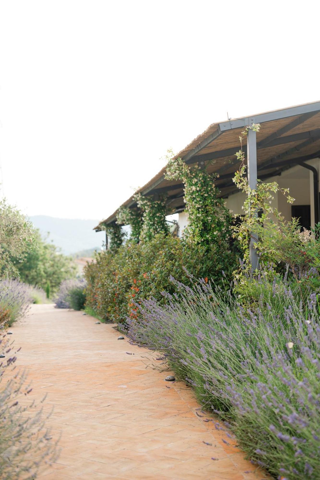 Hortus Natural Living Todi Kültér fotó